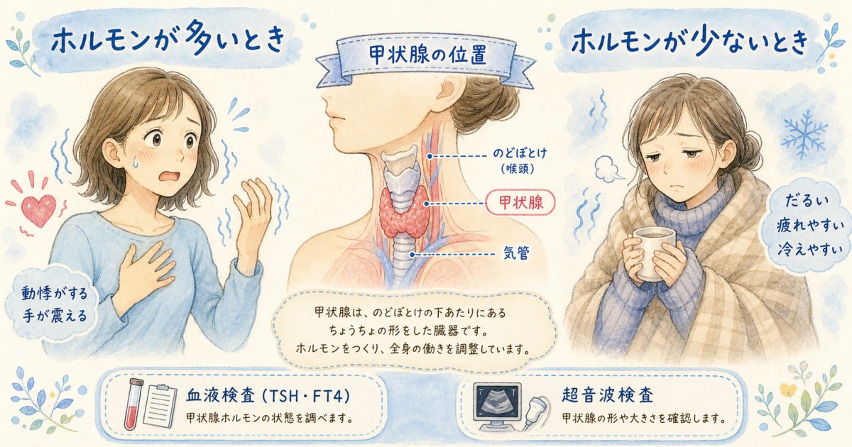 だるさや動悸の原因は?甲状腺疾患と一般内科での検査の違い