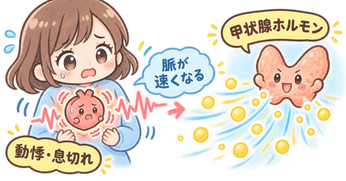 バセドウ病が心臓に負担をかける仕組み|動悸・息切れから不整脈へ