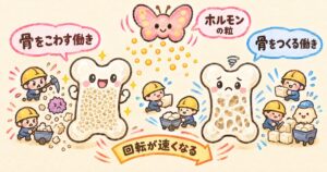 バセドウ病が骨密度を下げる仕組み｜骨粗しょう症のリスク